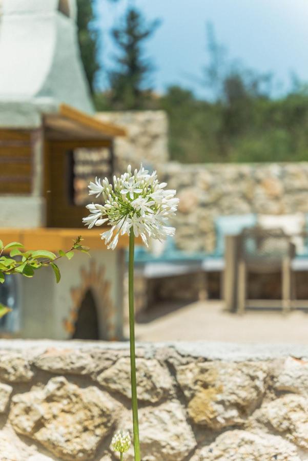 Villa Teachers Rock Lygia  Dış mekan fotoğraf